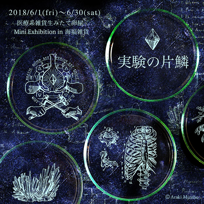 【医療系雑貨生みたて卵屋】さんによるミニ個展「実験の片鱗」
