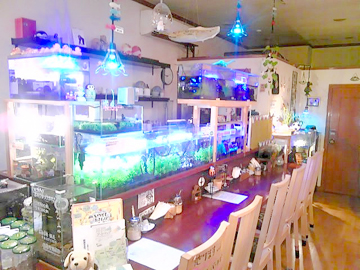 カフェのあ&のあ水族館